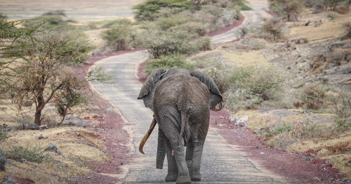 Two roads — and for 2027 you can take both. The skill is sending each photograph down the right one.