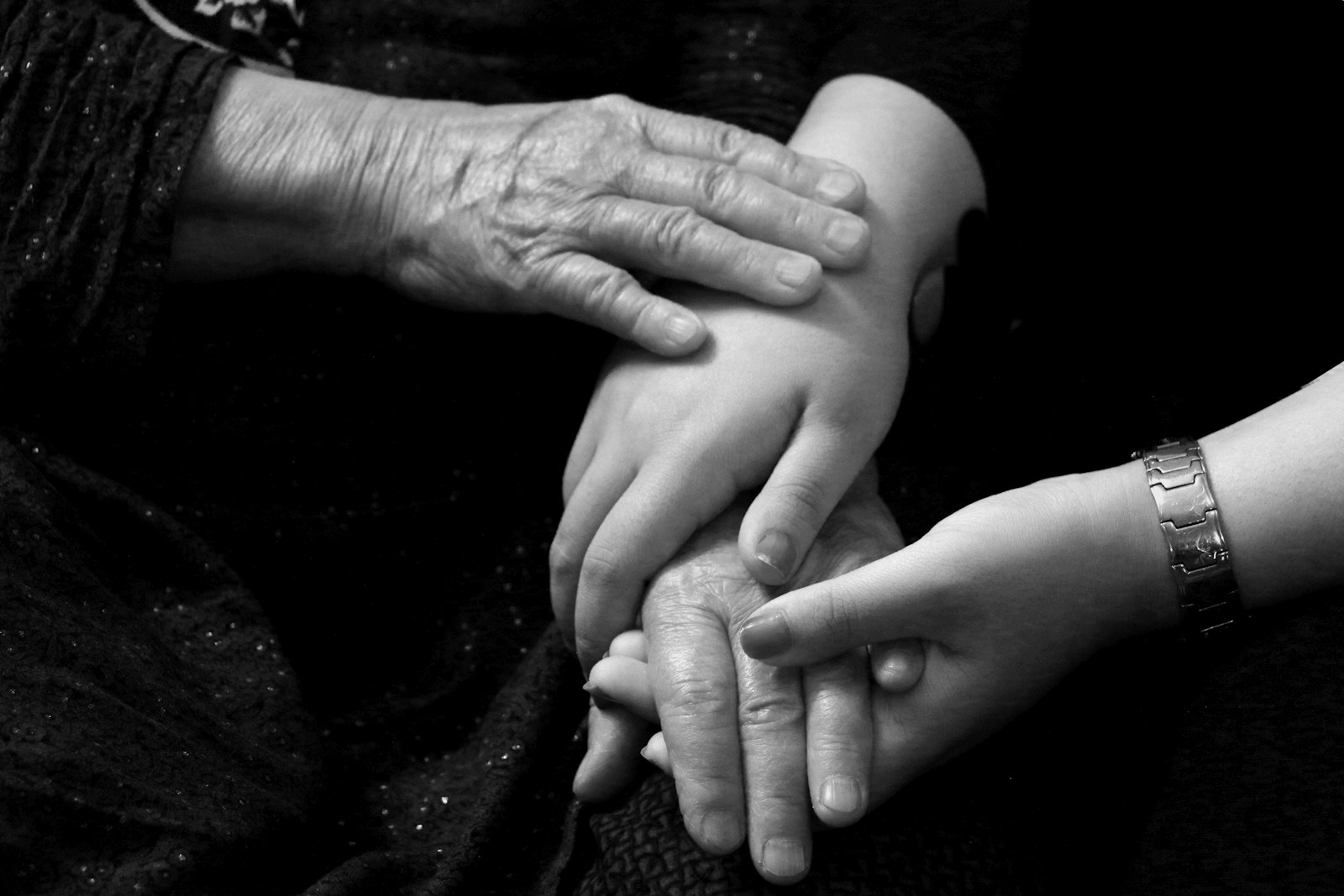 The Sunday Submission № 01 — Inside HIPA 2026: 'Family' — journal cover