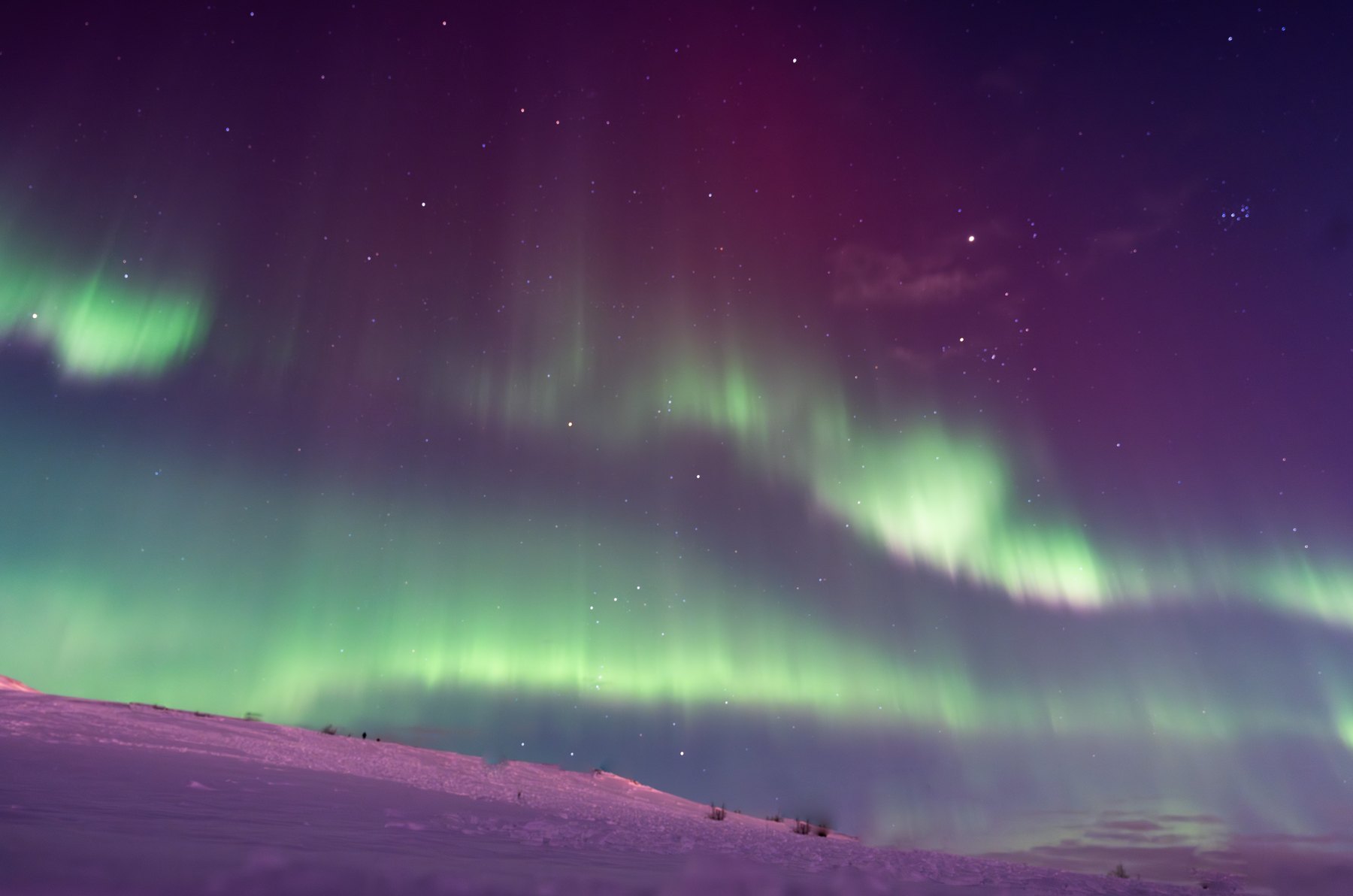 Aurora borealis in green curtains under a magenta sky over a snow slope, Norway — photograph by Zied Mnif